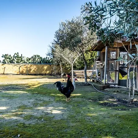 Вилла Reel Paradise Villa, Cyprus