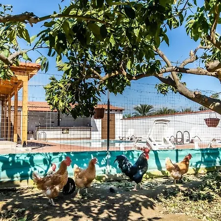 빌라 Reel Paradise Villa, Cyprus *