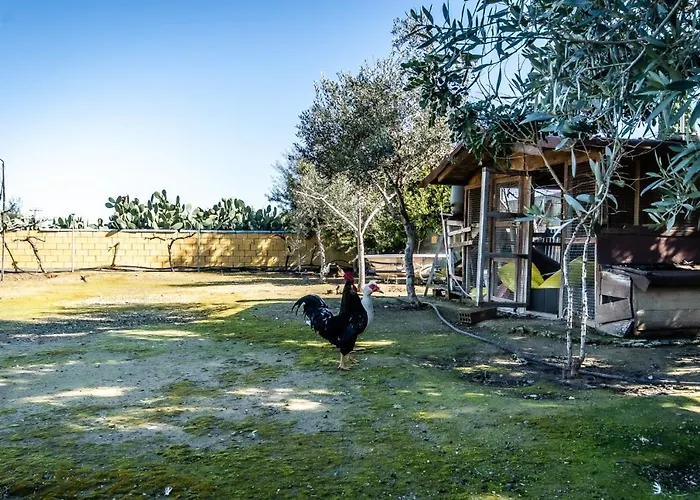 Vila Reel Paradise Villa, Cyprus