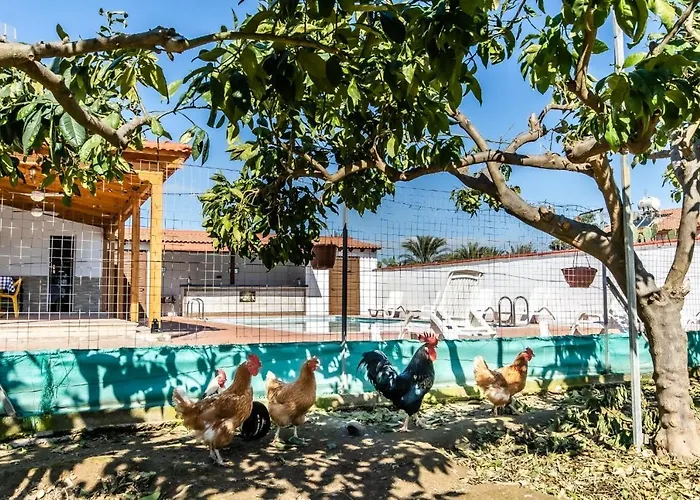 Vila Reel Paradise Villa, Cyprus *